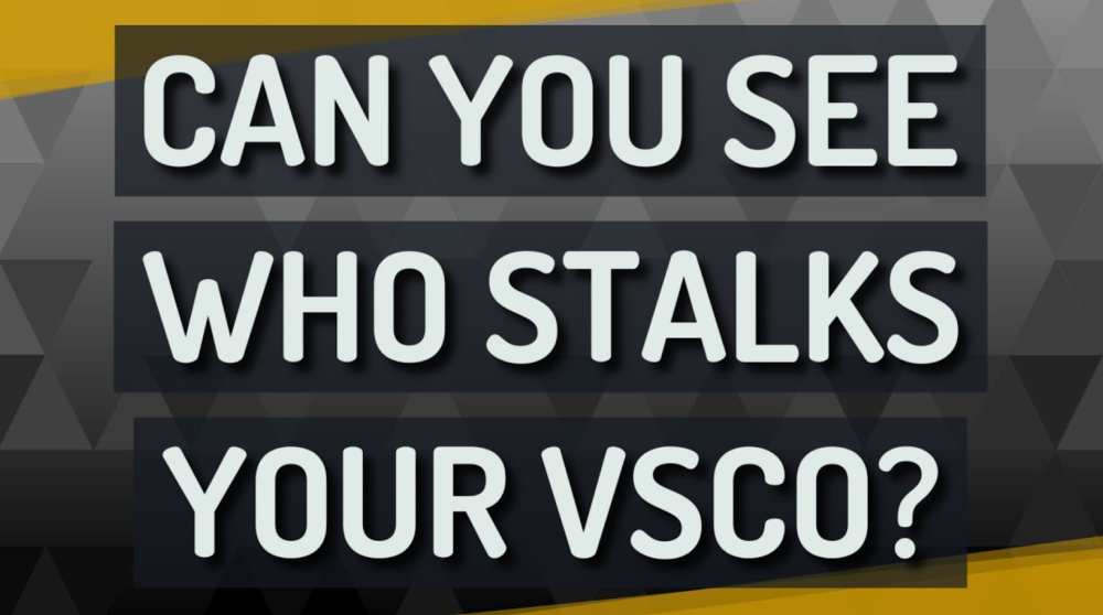 Can You Check Who Views Your VSCO?